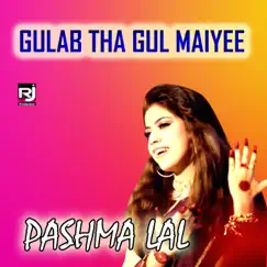 Gulab Tha Gul Maiyee - Single by Pashma Lal album reviews, ratings, credits