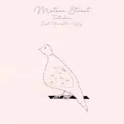 Turtledove - Single by Meteor Street album reviews, ratings, credits