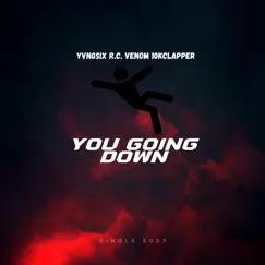 You Going Down (feat. 10kClapper & R.C. Venom) Song Lyrics