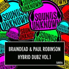Hybrid Dubz Vol. 1 - Single by BrainDead & Paul Robinson album reviews, ratings, credits