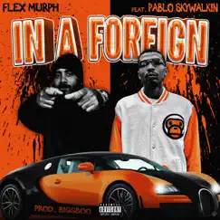 In a Foreign (feat. Pablo Skywalkin) Song Lyrics