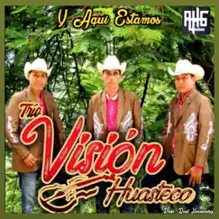 Y Aquí Estamos by Trío Visión Huasteco album reviews, ratings, credits