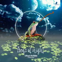 Frogs at Night (feat. Natasha Ghosh) Song Lyrics