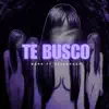 Te Busco (feat. Stick Pack) - Single album lyrics, reviews, download