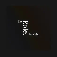 No Role Models - Single by Big Sosa album reviews, ratings, credits