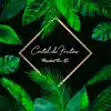 Coctel de Frutas - Single album lyrics, reviews, download