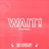 Wait! - Single album lyrics, reviews, download