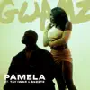 PAMELA - Single album lyrics, reviews, download