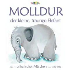Molldur - El Fantastic Orchester (Instrumental) Song Lyrics