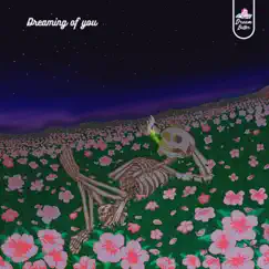 Dreaming of You - Single by AM3Y & S-IIo album reviews, ratings, credits
