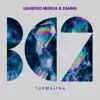 Turmalina - Single album lyrics, reviews, download