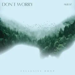Don't Worry - Single by Akillíz album reviews, ratings, credits