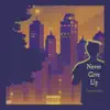 Never Give Up album lyrics, reviews, download