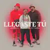 Llegaste Tú - Single album lyrics, reviews, download