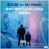 Secret Melody 2k21 (DJ R.Gee vs. DJ Toxic) album lyrics, reviews, download