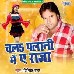 Chala Palani Me Ae Raja - Single by Ritik Raj album reviews, ratings, credits
