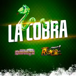 La Cobra - Single by Los Del Royo Norteño & Puro Diamante album reviews, ratings, credits