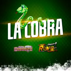 La Cobra Song Lyrics