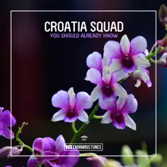 You Should Already Know - Single by Croatia Squad album reviews, ratings, credits