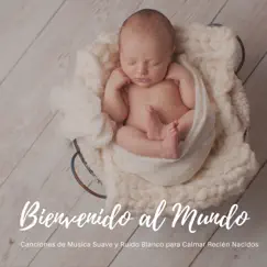 Bienvenido al Mundo - Canciones de Música Suave y Ruido Blanco para Calmar Recién Nacidos by Maria Blanca album reviews, ratings, credits