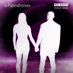 Samadhi (Tekout Remix) - Single by Palindrones album reviews, ratings, credits