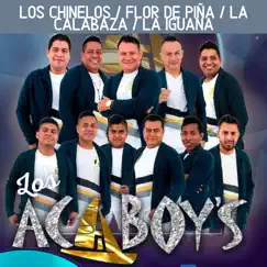 Los Chinelos / Flor de Piña / La Calabaza / La Iguana - EP by Los Acaboy's album reviews, ratings, credits