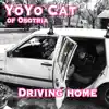 Driving Home - Single album lyrics, reviews, download