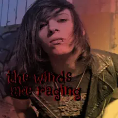 The Winds Raging - Single by Tom Lecter album reviews, ratings, credits