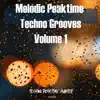 Melodic Peaktime Techno Grooves Volume1 album lyrics, reviews, download