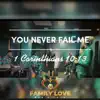 You Never Fail Me (Live) - Single album lyrics, reviews, download