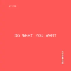 Do What You Want - Single by Kanyiso album reviews, ratings, credits