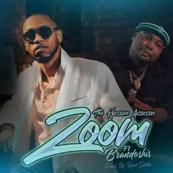 Zoom - Single (feat. Brandoshis) - Single by The Hassan Assassin album reviews, ratings, credits