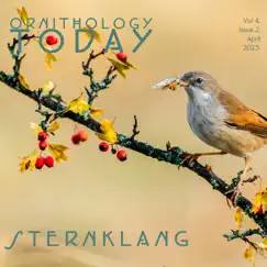 Ornithology Today Vol.4. Issue 2. - Single by Sternklang album reviews, ratings, credits