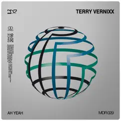Ah Yeah - Single by Terry Vernixx album reviews, ratings, credits