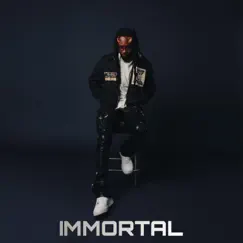 Immortal C Version by Anime Zayy album reviews, ratings, credits