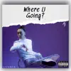 Where U Going - Single album lyrics, reviews, download