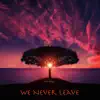 We Never Leave - Single album lyrics, reviews, download