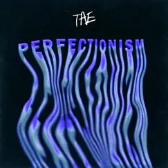 Perfectionism Song Lyrics