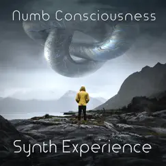 Numb Consciousness - Single by Synth Experience album reviews, ratings, credits