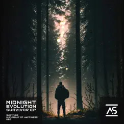 Survivor - EP by Midnight Evolution album reviews, ratings, credits