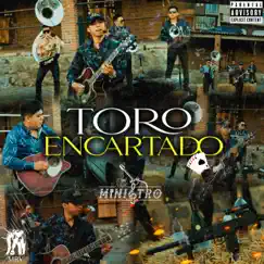 TORO ENCARTADO Song Lyrics