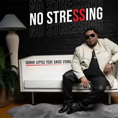 No Stressing - Single (feat. Angie Stone) - Single by Damon Little album reviews, ratings, credits