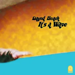 It's a Wave - Single by Dayvd Beach album reviews, ratings, credits