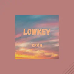 Lowkey (feat. Lofitrix) Song Lyrics