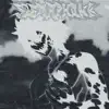 Sigma Phonk - Single album lyrics, reviews, download