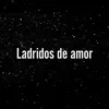 Ladridos De Amor - Single album lyrics, reviews, download