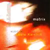 Matrix: Music of Louis Karchin album lyrics, reviews, download