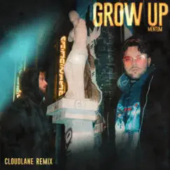 Grow Up (CLOUDLANE Remix) Song Lyrics