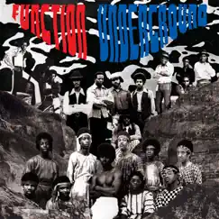 Function Underground: The Black and Brown American Rock Sound 1969-1974 by Various Artists album reviews, ratings, credits
