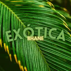EXÓTICA - Single by Bhane album reviews, ratings, credits